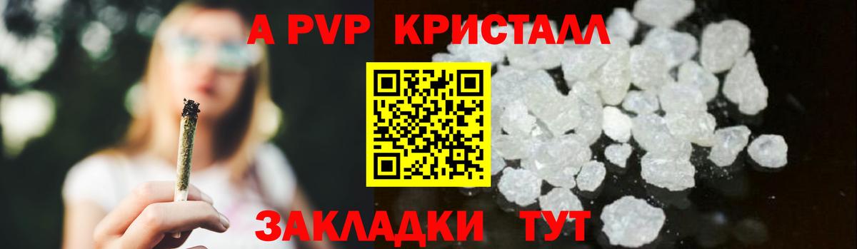 Alfa_PVP СК КРИС Кандалакша